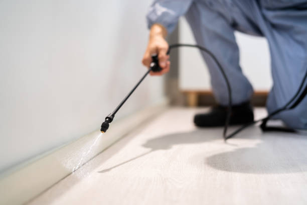 Bed Bug Pre-Treatment Preparation Assessment in Mulberry