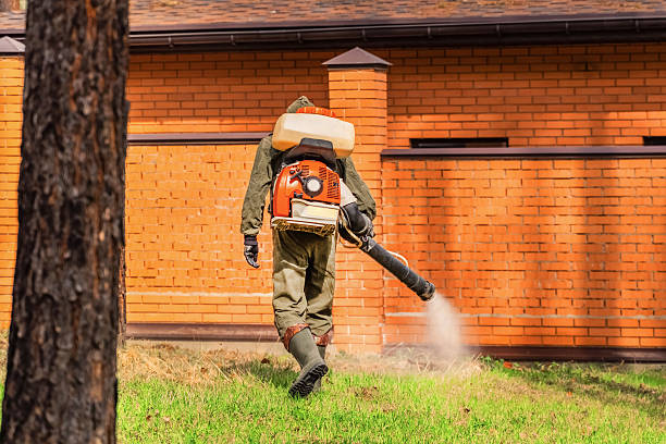 Bed Bug Clearance Verification and Documentation in Mulberry